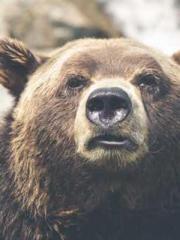 One Pregnancy, Two B