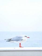 The Taoist nun was f