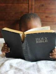 lt;lt;lt;Reborn Soar