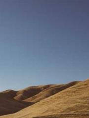 lt;lt;lt;Visionary S