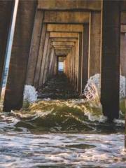 Mr. Gu, your wife is