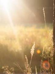 My husband is the Ki