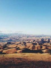 Rebirth of the Urban