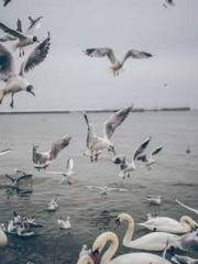 Yet, I became a powe