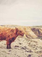 The Sovereign of the