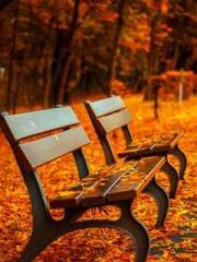 Shocking! This prota