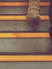 The Sovereign of the