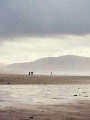 My pets are all amaz