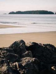 lt;gt;The son of a w