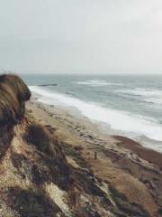 Shen Ning Ran Bao Ji