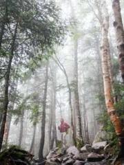 The Hardships of a D