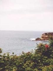 lt;Jingyuan Rong Sha