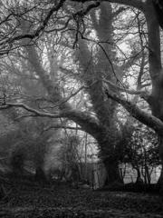 lt;lt;All in, my dec