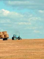 Retired War God Yang